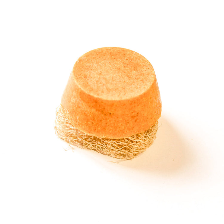 Shampoo - Bar "Vinér" von Kara Pura