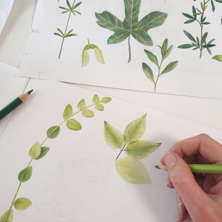 Decke für Babyschale Herbarium
