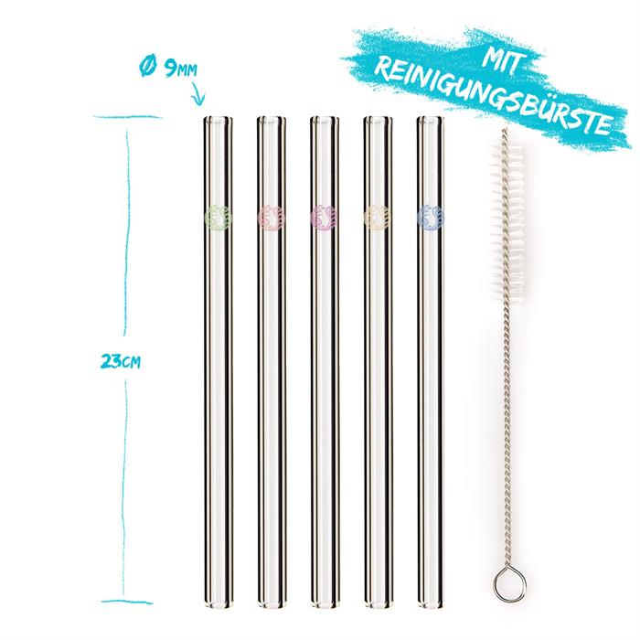 Schönes 6er Set mit 5 Trinkhalmen und einer Reinigungsbürste