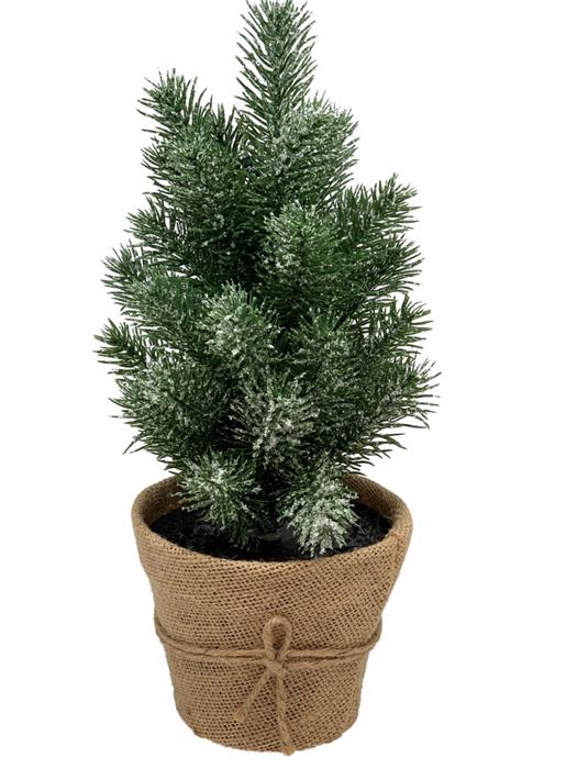 Kleiner beleuchteter Tannenbaum für Indoor